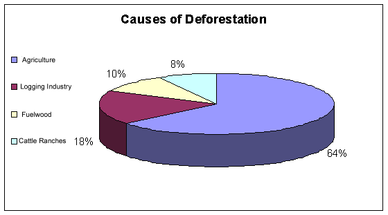 Causes of Deforestation